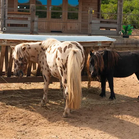 Les De Tesa Alojamento de Turismo Rural