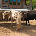 Farm stay Les De Tesa *