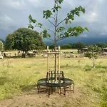 Les De Tesa Occhiatana