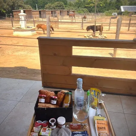 Les De Tesa Séjour à la ferme Occhiatana