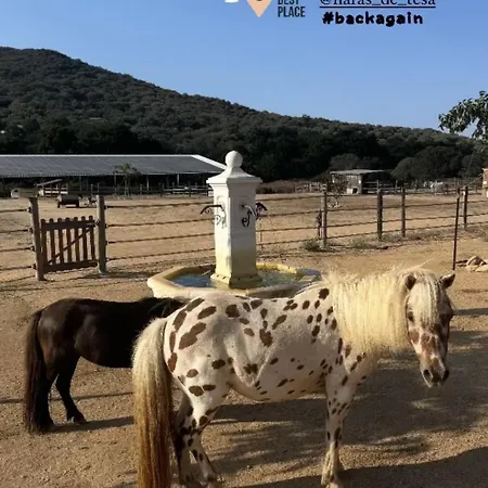 Les De Tesa * Occhiatana
