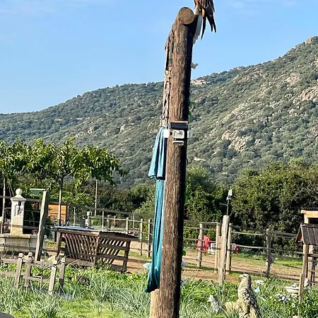 Les De Tesa