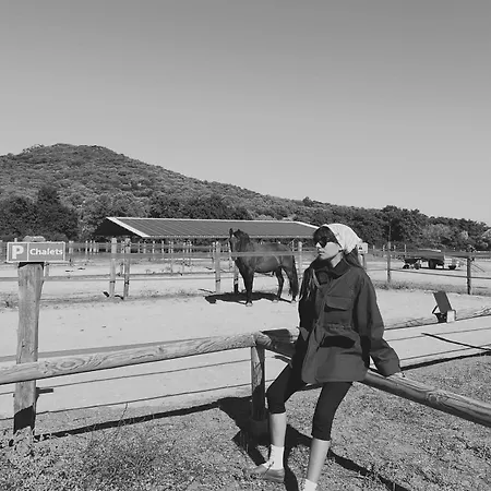 Les De Tesa Κατάλυμα σε φάρμα