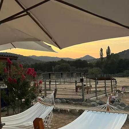 Farm stay Les De Tesa (adults Only) *