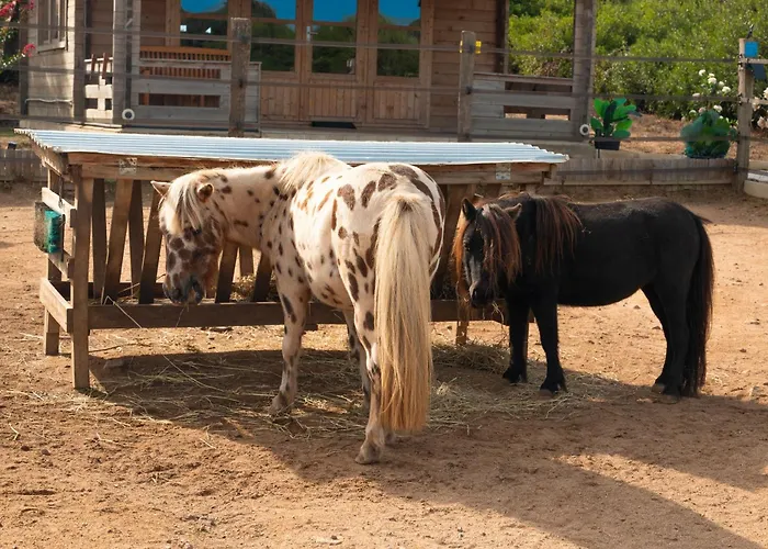 Les De Tesa בית חווה